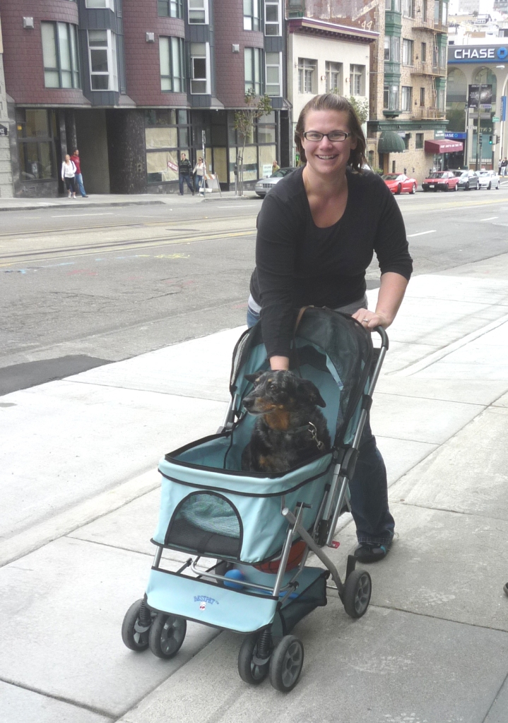 Dog Baby Carriage